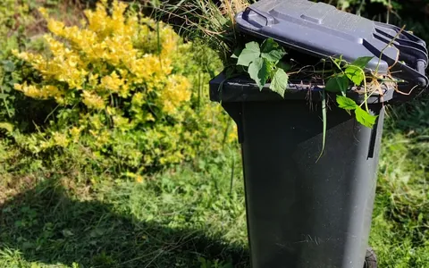 Garden waste removal service in Dubai